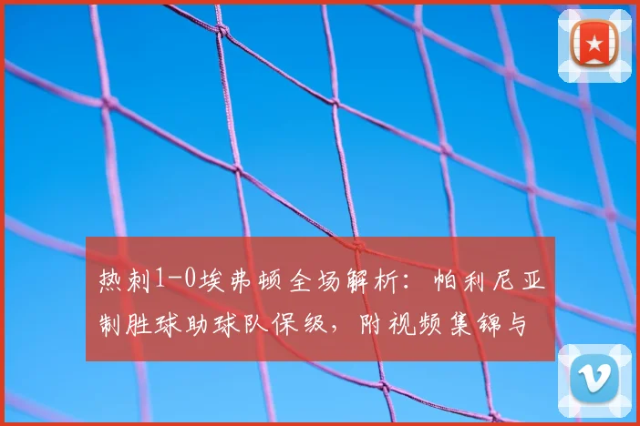 热刺1-0埃弗顿全场解析：帕利尼亚制胜球助球队保级，附视频集锦与赛后分析