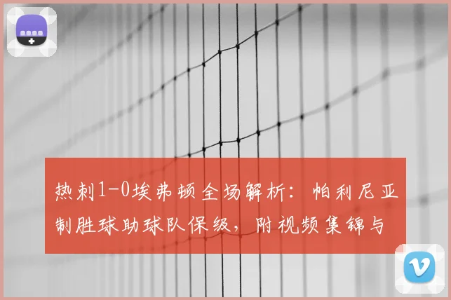 热刺1-0埃弗顿全场解析：帕利尼亚制胜球助球队保级，附视频集锦与赛后分析